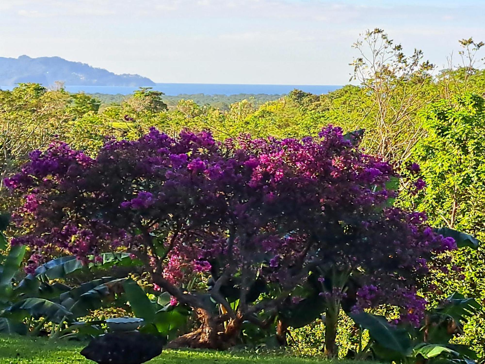 Tucanes Ridge Bed And Breakfast Tarcoles Exterior photo